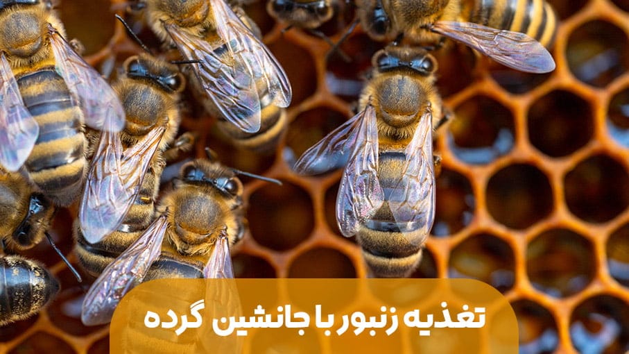 نیازمندی‌ های رایگان، آگهی‌های خرید، فروش کریپتو و تجهیزات استخراج کریپتو - ماینر
