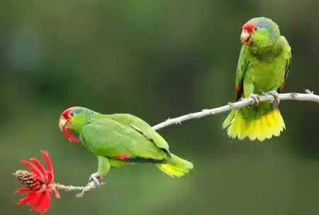 نیازمندی‌ های رایگان، آگهی‌های خرید، فروش کریپتو و تجهیزات استخراج کریپتو - ماینر