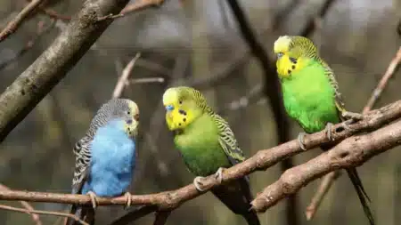 نیازمندی‌ های رایگان، آگهی‌های خرید، فروش کریپتو و تجهیزات استخراج کریپتو - ماینر