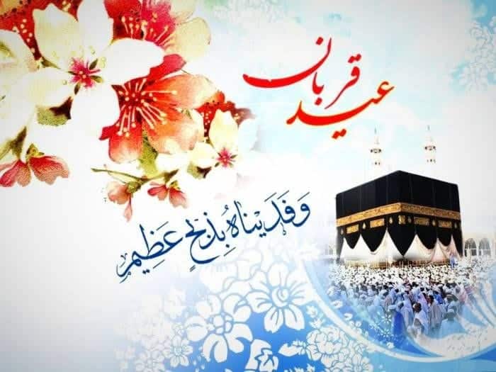 نیازمندی‌ های رایگان، آگهی‌های خرید، فروش کریپتو و تجهیزات استخراج کریپتو - ماینر