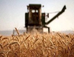 نیازمندی‌ های رایگان، آگهی‌های خرید، فروش کریپتو و تجهیزات استخراج کریپتو - ماینر