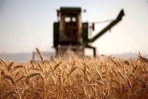 نیازمندی‌ های رایگان، آگهی‌های خرید، فروش کریپتو و تجهیزات استخراج کریپتو - ماینر